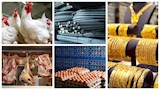 خريطة الأسعار اليوم