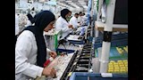 سوميتومو لإنتاج الضفائر الكهربائية للسيارات (5)
