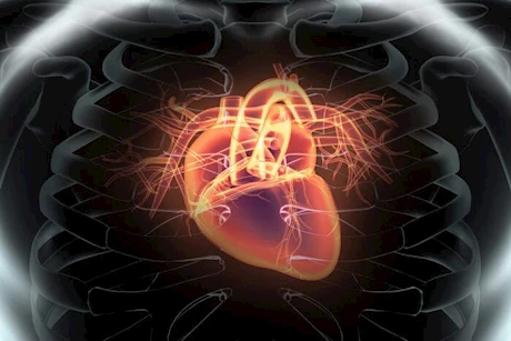 احذر- 10 علامات خفية لأمراض القلب
